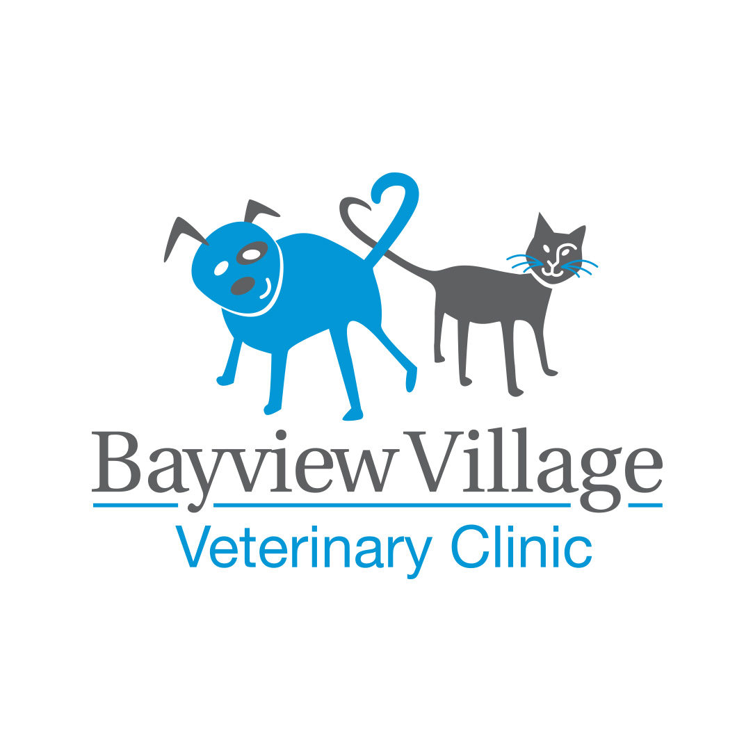 Bayview Village Veterinary Clinic